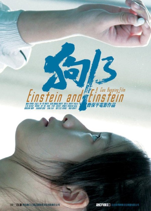 einstein and einstein.jpg